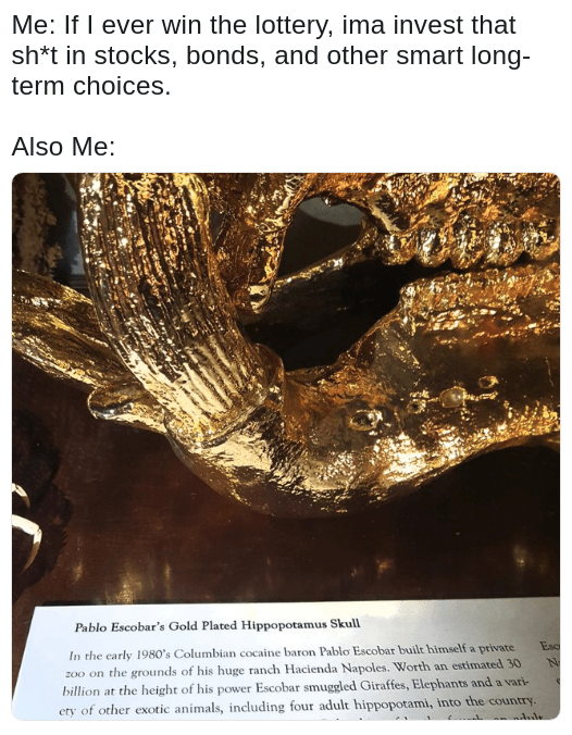 Me: If l ever win the lottery, ima invest that sh*t in stocks, bonds, and other smart long- term choices. Also Me: Pablo Escobar's Gold Plated Hippopotamus Skull In the early 1980's Columbian cocaine baron Pablo Escobar built himself a private z00 on the grounds of his huge ranch Hacienda Napoles. Worth an estimated 30 N billion at the height of his power Escobar smugaled Giraffes, Elephants and a var Ec ety of other exotic animals, including four adult hippopotami, into the country