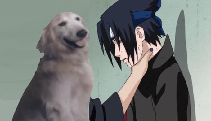 Yay for relevancy! | Ace Combat JPEG Dog | Know Your Meme