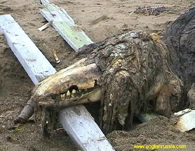 Found this picture in 682-J files. : r/SCP