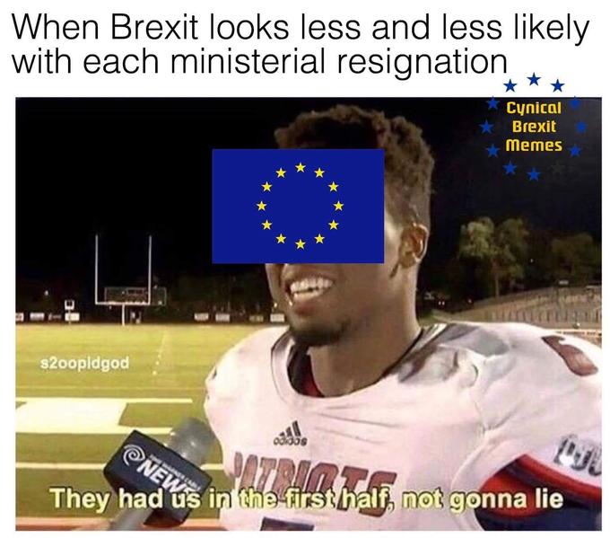 When Brexit looks less and less likely with each ministerial resignation . Cynical ★ Brexit ★ memes ★ s2oopidgod They had us in the-Firstha not gonna lie