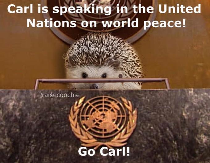 Carl is speaking inthe United Nations on world peace! Praisecoochie Go Carl!