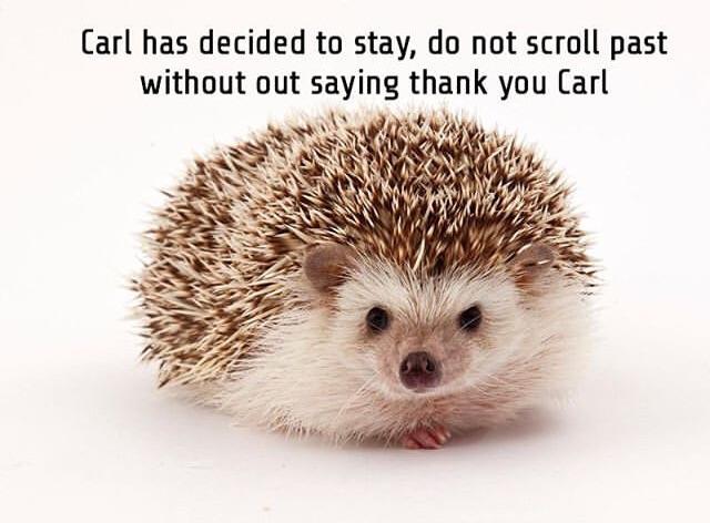 Carl has decided to stay, do not scroll past without out saying thank you Carl