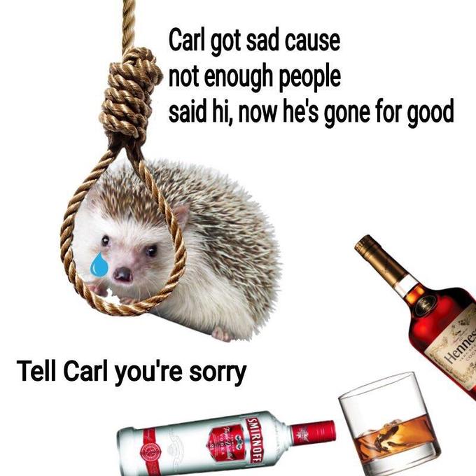 Carl the Hedgehog | Know Your Meme