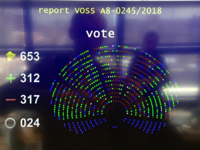 report VOSS A8-0245/2018 vote 653 @@@ 癫 317 024