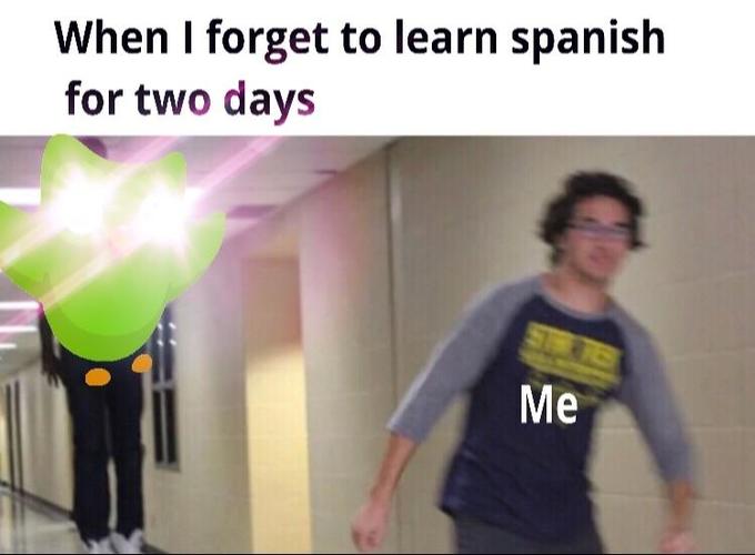 When I forget to learn spanisłh for two days