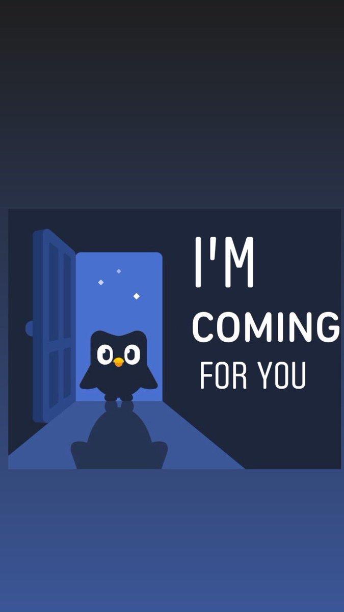 evil duolingo owl