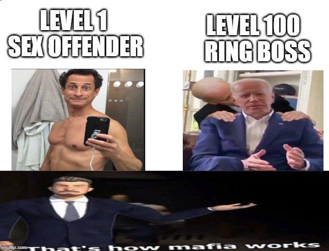 LEVEL1 LEVEL100 SEXOFFENDEB RING BOSS