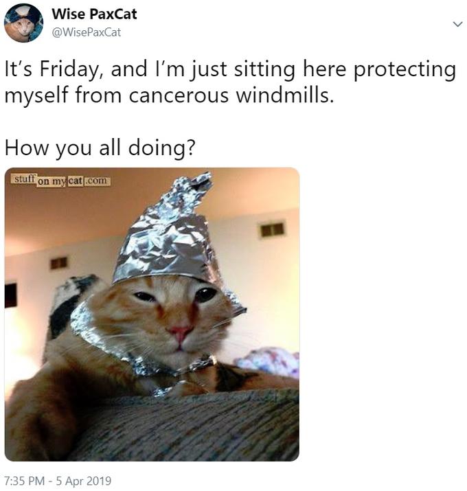 Wise PaxCat @WisePaxCat It's Friday, and I'm just sitting here protecting myself from cancerous windmills. How you all doing? stuft on my catcom 7:35 PM-5 Apr 2019