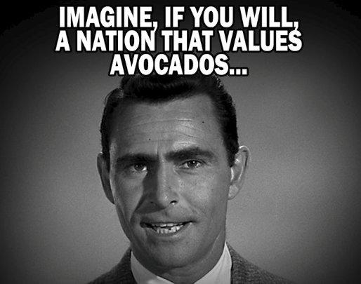 IMAGINE, IF YOU WILL A NATION THAT VALUES AVOCAD0S...