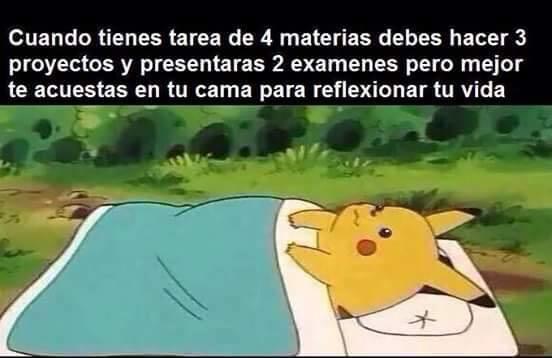 Memes De Pikachu Y Sus Amigos Galeria 14 Imagenes Graciosas