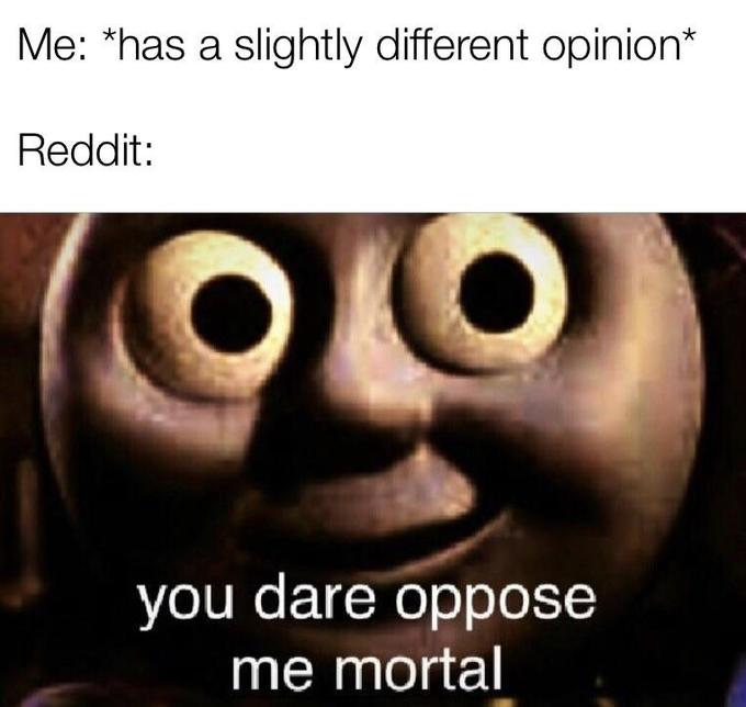 Me: *has a slightly different opinion* Reddit: you dare oppose me mortal