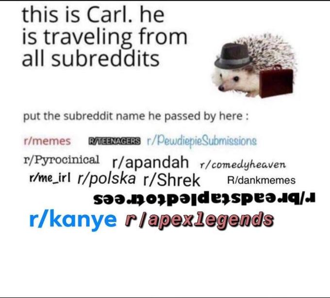 this is Carl. he is traveling from all subreddits put the subreddit name he passed by here: r/memes RTEENAGERS r/PewdiepieSubmissions r/Pyrocinical r/apandah r/comedyheaven rme_irl r/polska r/Shrek Ridankmemes r/kanye rlapexlegends