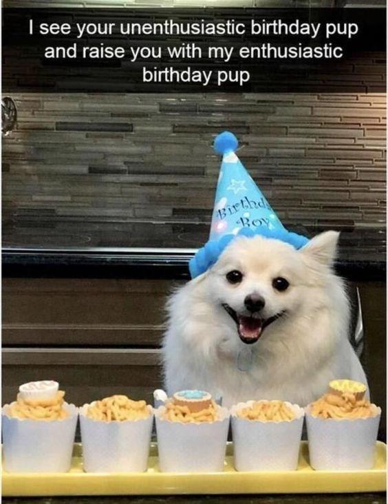 I see your unenthusiastic birthday pup and raise you with my enthusiastic birthday pup