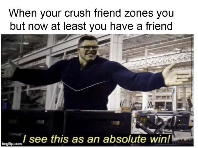 When vour crush friend zones you but now at least you have a friend see this as an absolute win!