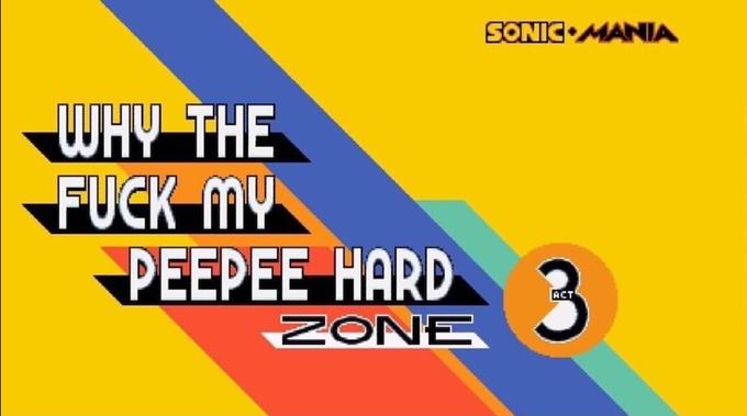 SONIC MANIA WHY THE F--- m PEEPEE HARD ACT ZONE