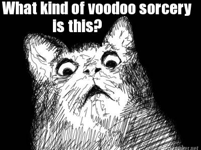 Image result for what the voodoo meme"