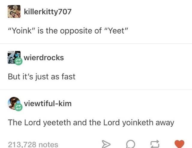 killerkitty707 "Yoink" is the opposite of "Yeet" wierdrocks But it's just as fast viewtiful-kim The Lord yeeteth and the Lord yoinketh away 213,728 notes