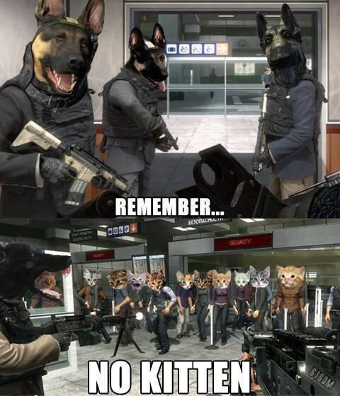 REMEMBER.. SE300ACMA SECURITY 616DM NO KITTEN