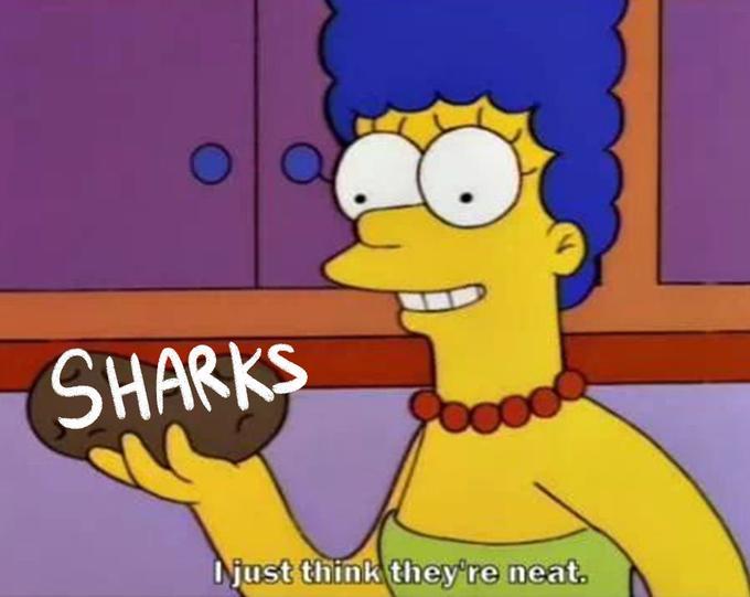 SHARKS Niust think they're neat.