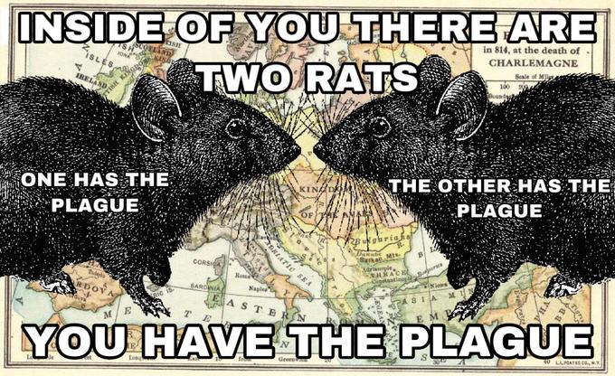 INSIDE OFYOU THERE ARE TWO RATS in 814, at the death of CHARLEMAGNE SASCOTEANT SLES Seale of Miles 100 IRELAND Boundap TISH KINGDO THE OTHER HAS THE PLAGUE ONE HAS THE PLAGUE KINAD RB lgariahs AL Dunube tS Baika RLATIC SEA CORSICA dr RACE Rome Cunstantinople Boaorus INieres Toledo Naples SARDINIA RDOV AS I EASTE RN E M T M YOU HAVE THE PLAGUE LLPCATES CO., N.Y. 40 Greenwr Long