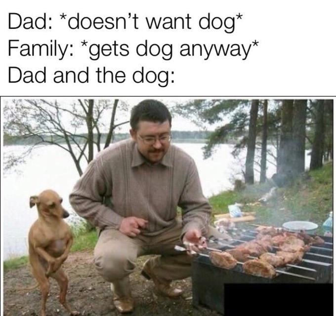  It s Up To You Dad And The Dog Know Your Meme