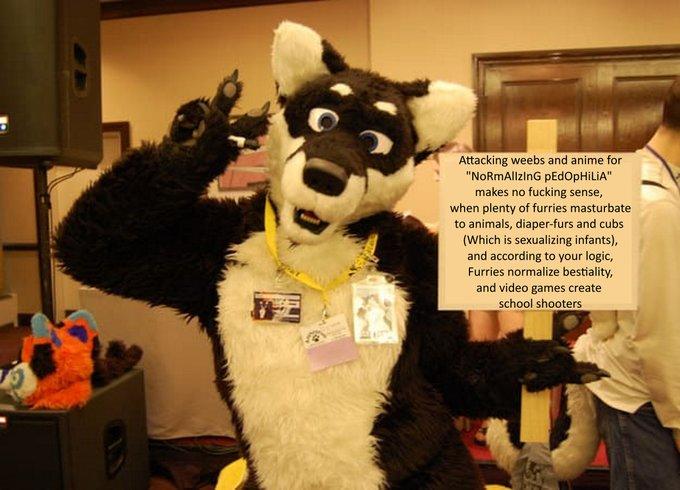 Attacking weebs and anime for "NoRmAllzinG p---------" makes no f------ sense, when plenty of furries masturbate to animals, diaper-furs and cubs (Which is sexualizing infants), and according to your logic, Furries normalize b---------, and video games create school shooters