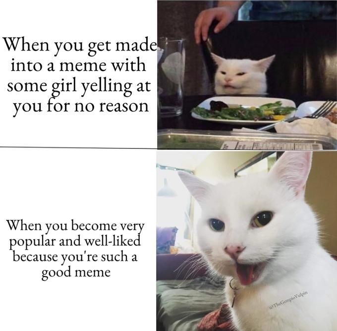 Smudge The Cat Know Your Meme