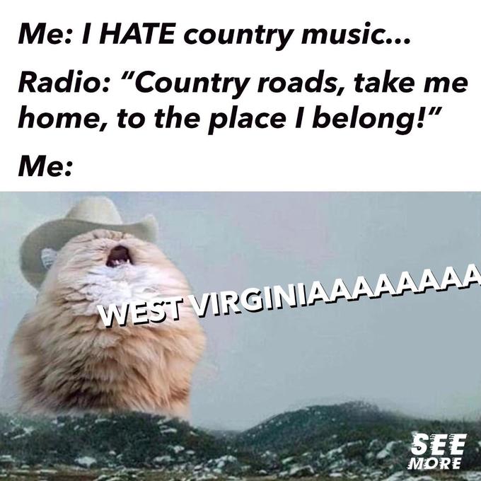 Me: I HATE country music... Radio: "Country roads, take me home, to the place I belong!" Me: WEST VIRGINIAAAAAAAA SEE MORE