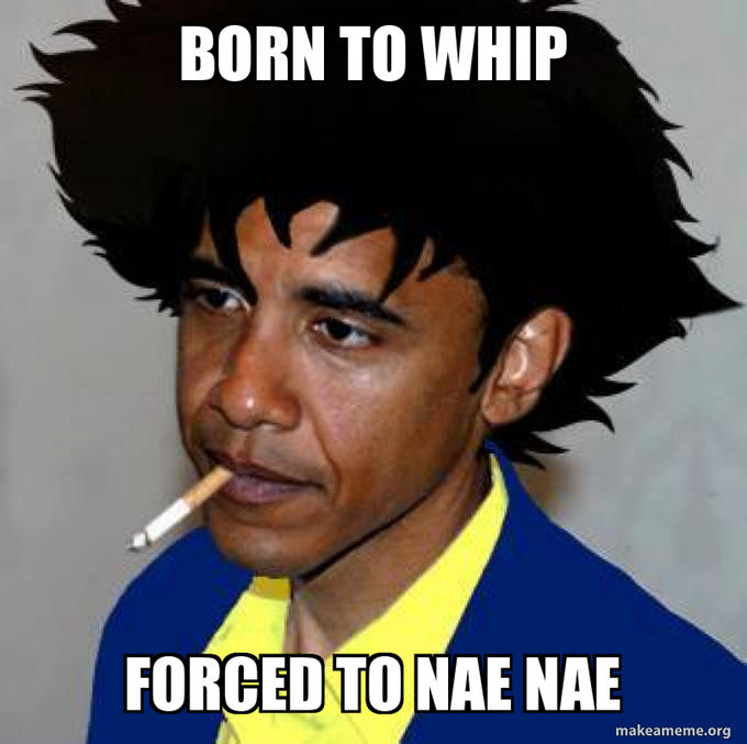 BORN TO WHIP FORCED TO NAE NAE makeameme.org