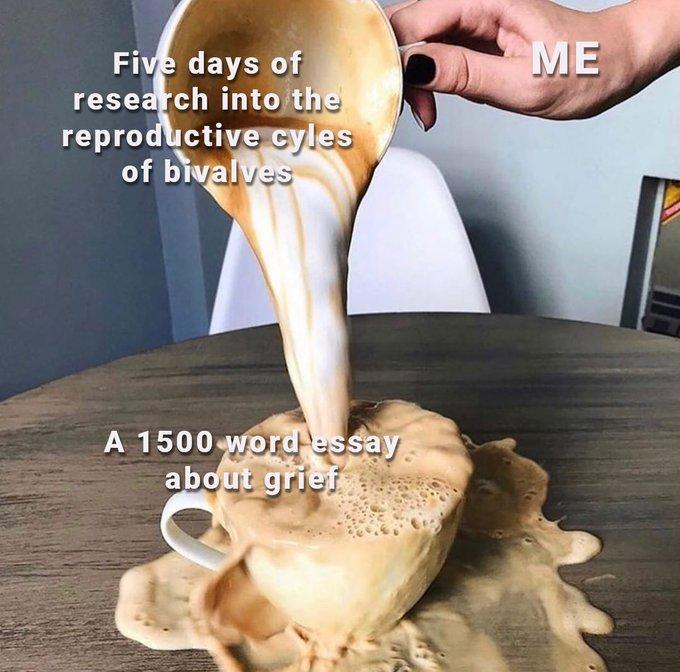 МЕ Five days of research into the reproductive cyles of bivalves A 1500 word essay about grief