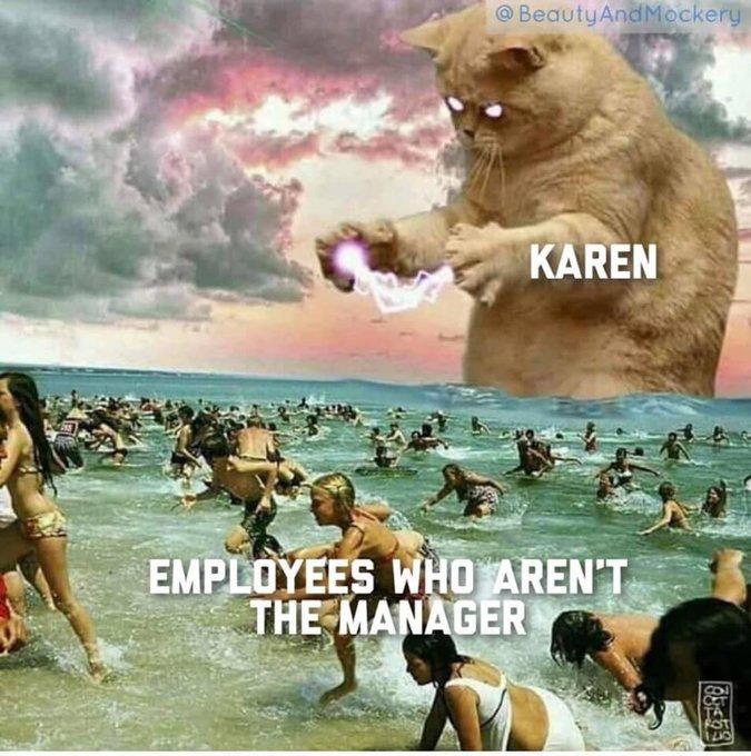 @ BeautyAndMockery KAREN EMPLOYEES WHO AREN'T THE MANAGER