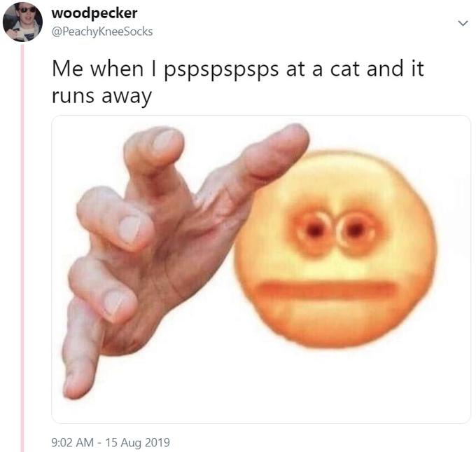Me when I pspspspsps at a cat and it runs away woodpecker @PeachyKneeSocks Me when I pspspspsps at a cat and it runs away 9:02 AM 15 Aug 2019