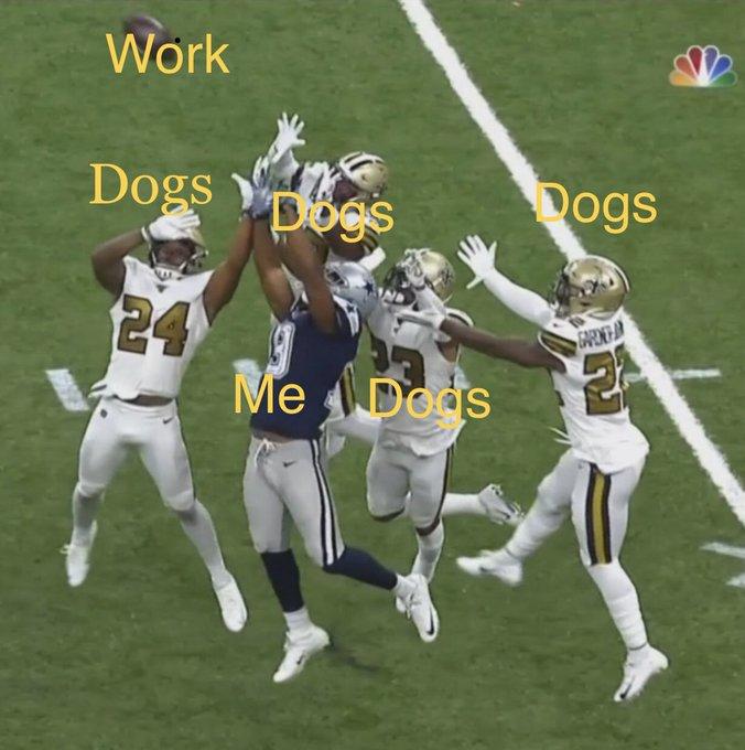 Work Dogs Dogs Pogs 24 Me Dods SARN