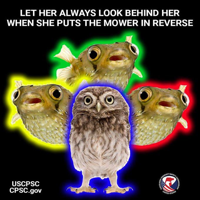 LET HER ALWAYS LOOK BEHIND HER WHEN SHE PUTS THE MOWER IN REVERSE AFETY CO PRODUCT USCPSC CPSC.gov ITER STATE