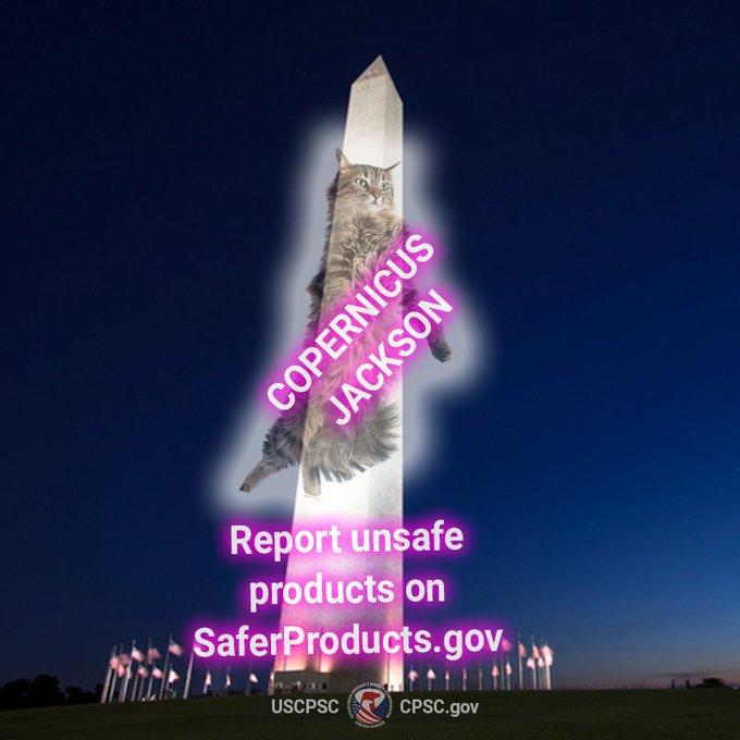 Report unsafe products on SaferProducts.gov USCPSC CPSC.gov COPERNICUS JACKSON