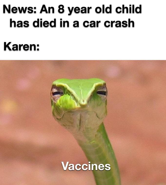 News: An 8 year old child has died in a car crash Karen: Vaccines