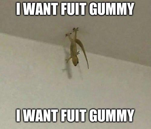 IWANT FUIT GUMMY IWANT FUIT GUMMY