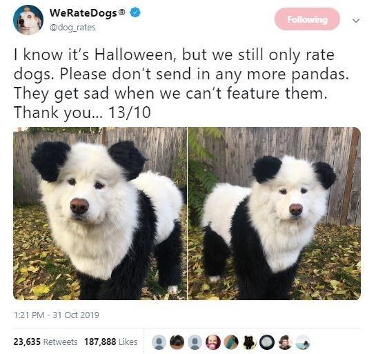 WeRateDogs Following @dog rates I know it's Halloween, but we still only rate dogs. Please don't send in any more pandas. They get sad when we can't feature them. Thank you.. 13/10 1:21 PM 31 Oct 2019 23,635 Retweets 187,888 Likes