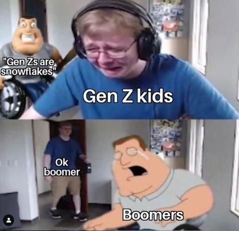 "Gen Zsare snowflakes Gen Z kids Ok boomer Boomers