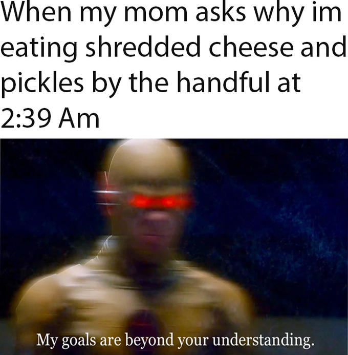 When my mom asks why im eating shredded cheese and pickles by the handful at 2:39 Am My goals are beyond your understanding.