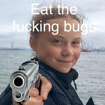 Eat the f------ bugs