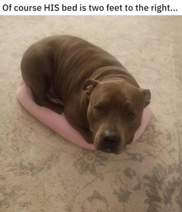 Of course HIS bed is two feet to the right... o