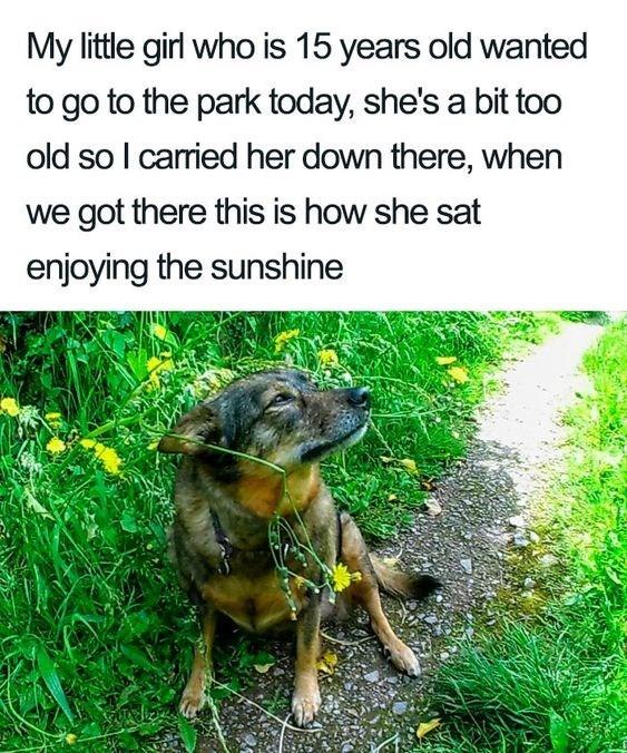 My little girl who is 15 years old wanted to go to the park today, she's a bit too old so I carried her down there, when we got there this is how she sat enjoying the sunshine