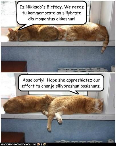 Iz Nikkado's Birf day. We needz tu kommemorate an sillybrate dis momentus okkashun! Absolootly! Hope she appreshiatez our effort tu chanje sillybrashun posishunz. CANHASCHEE2EURGER cOM