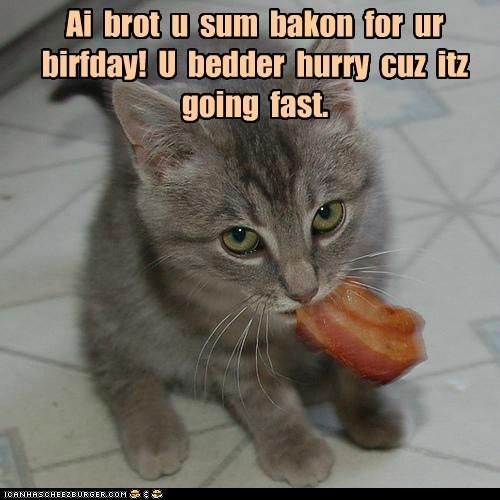 Ai brot u sum bakon for ur birfday! U bedder hurry cuz itz going fast ICANHASCHEEZEURGER COM