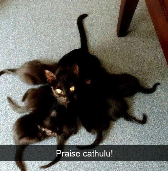 Praise cathulu!