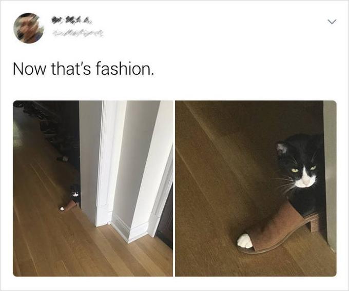 Now that's fashion.
