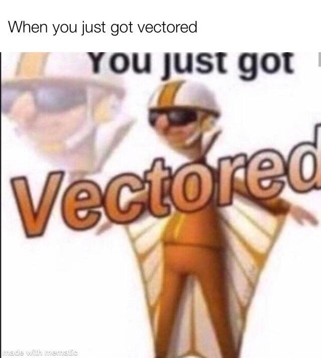 You Just Got Vectored Know Your Meme