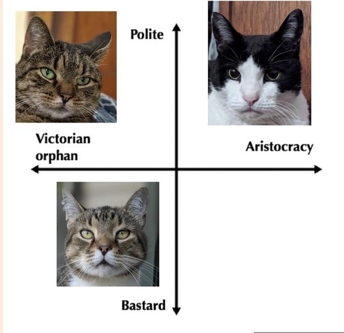 Memefan2000's cats Victorian Orphan / Aristocracy Cat Scale Know