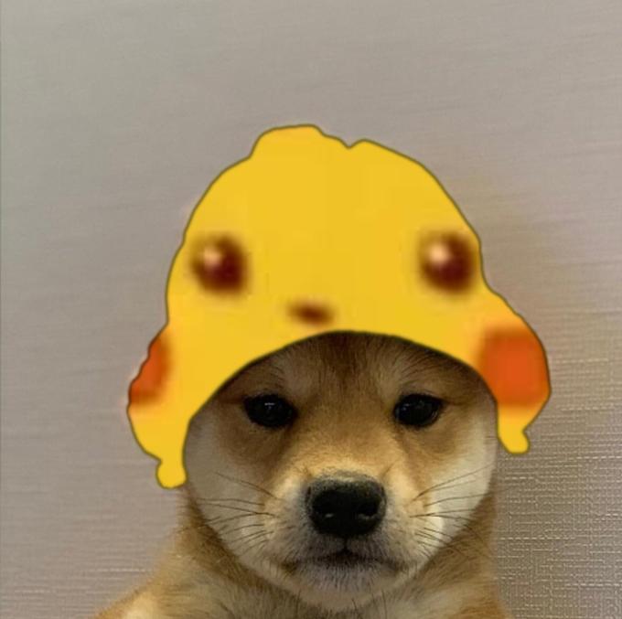 96 Dog wif hat ideas  dog icon, dog images, dog memes